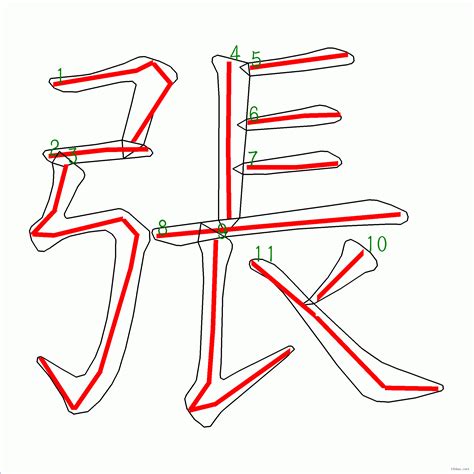 張 筆畫|张字笔画、笔顺、笔划